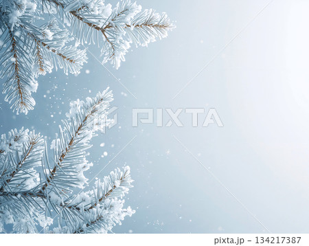 Winter Holiday Background featuring Snowy Fir Branches Frame and Falling Snow Copy Space for Text. 134217387