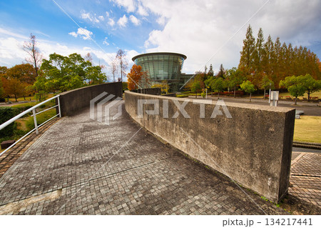 晩秋の公園 134217441