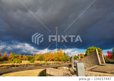 晩秋の公園 134217447