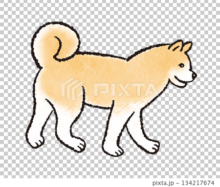 Cute hand-drawn illustration of walking dogs (Shiba Inu and Akita Inu) Cute hand-drawn illustration of walking dogs (Shiba Inu and Akita Inu) 134217674