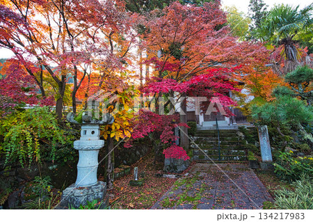 紅葉が見頃の天龍寺 134217983