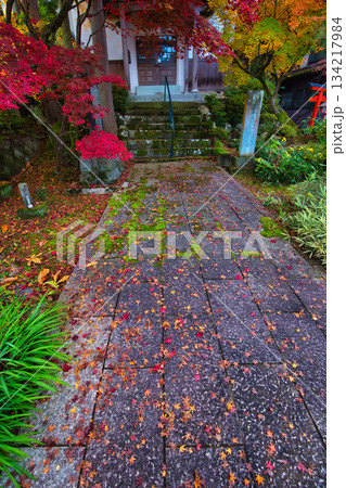 紅葉が見頃の天龍寺 134217984