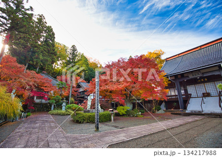 紅葉が見頃の天龍寺 紅葉が見頃の天龍寺 134217988