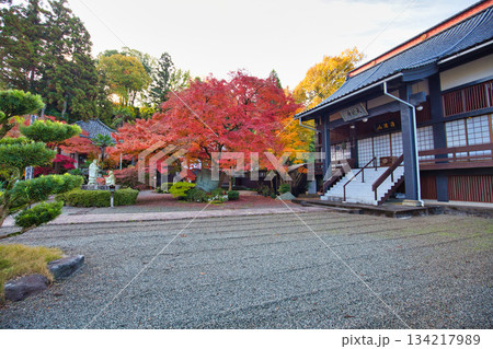 紅葉が見頃の天龍寺 紅葉が見頃の天龍寺 134217989