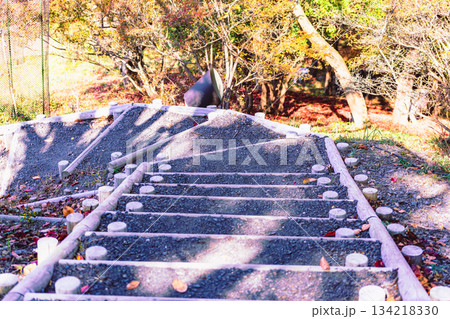 桜山公園 紅葉風景1ー75 桜山公園 紅葉風景1ー75 134218330