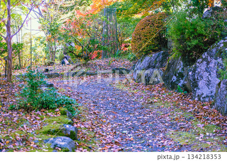 桜山公園　紅葉風景1ー98 134218353