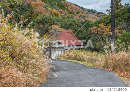 京都府笠置町の山中にある廃屋 134218406