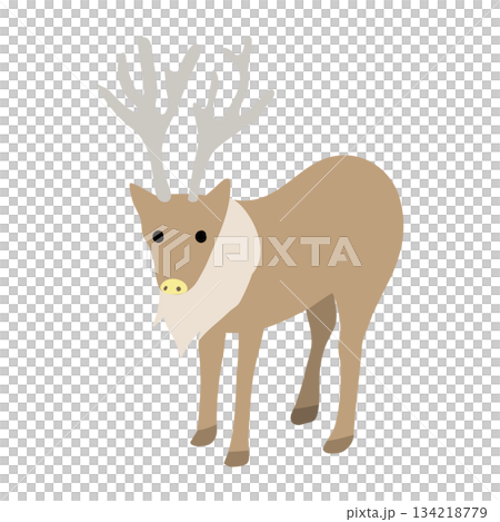 可愛的馴鹿插圖(斜體) 可愛的馴鹿插圖(斜體) 134218779