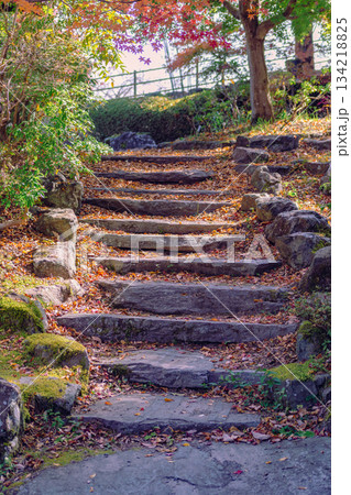 桜山公園 紅葉風景2ー11 桜山公園 紅葉風景2ー11 134218825