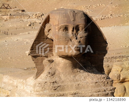 正面から見た大スフィンクス 134218890