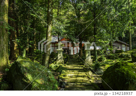 霧島　石體神社　参道石段　鹿児島県霧島市 134218937