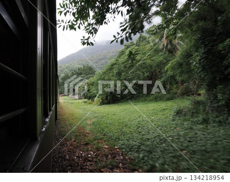 緑の山と列車の軌跡 ― キュランダ高原列車の車窓より 緑の山と列車の軌跡 ― キュランダ高原列車の車窓より 134218954