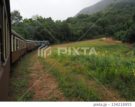 霧の山と曲がる列車 ― キュランダ高原の緑を抜けて 134218955