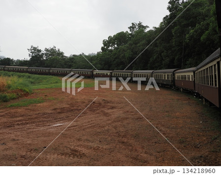 曲線の先に広がる緑 ― キュランダ高原列車の車窓より 134218960