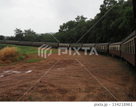 赤土と緑の曲線 ― キュランダ高原列車の車窓より 134218961