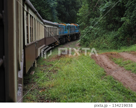水たまりと赤土の曲線 ― キュランダ高原列車の車窓より 134219038