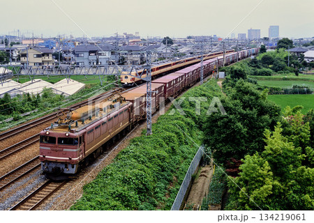 2007年 東海道本線を走るEF81124コンテナ貨物列車 2007年 東海道本線を走るEF81124コンテナ貨物列車 134219061