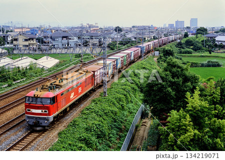2007年　東海道線を走るEF510‐8コンテナ貨物列車 134219071