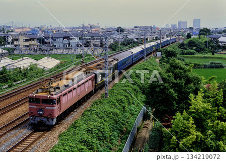 2007年 東海道線を走るEF81102ブルートレイン日本海4号 2007年 東海道線を走るEF81102ブルートレイン日本海4号 134219072