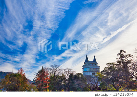 晩秋の公園風景 晩秋の公園風景 134219074