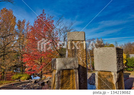 晩秋の公園風景 134219082
