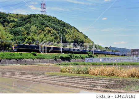 2007年 東海道本線を走るEF8143寝台特急トワイライトエクスプレス 2007年 東海道本線を走るEF8143寝台特急トワイライトエクスプレス 134219163