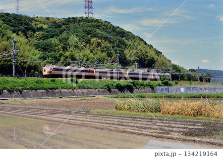 2007年　東海道本線を走る183系800番台特急北近畿（回送） 134219164