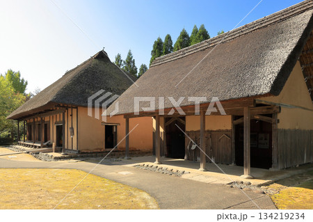 国営みちのく杜の湖畔公園　秋風景 134219234