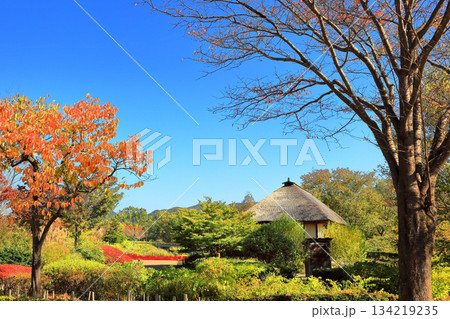国営みちのく杜の湖畔公園　秋風景 134219235