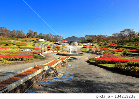 国営みちのく杜の湖畔公園 秋風景 国営みちのく杜の湖畔公園 秋風景 134219238