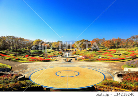 国営みちのく杜の湖畔公園 秋風景 国営みちのく杜の湖畔公園 秋風景 134219240