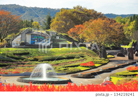 国営みちのく杜の湖畔公園 秋風景 国営みちのく杜の湖畔公園 秋風景 134219241