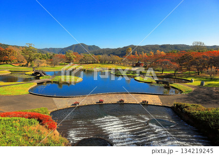 国営みちのく杜の湖畔公園 秋風景 国営みちのく杜の湖畔公園 秋風景 134219245