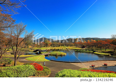 国営みちのく杜の湖畔公園 秋風景 国営みちのく杜の湖畔公園 秋風景 134219246