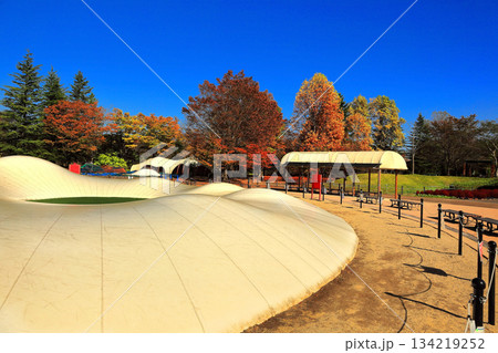 国営みちのく杜の湖畔公園　秋風景 134219252