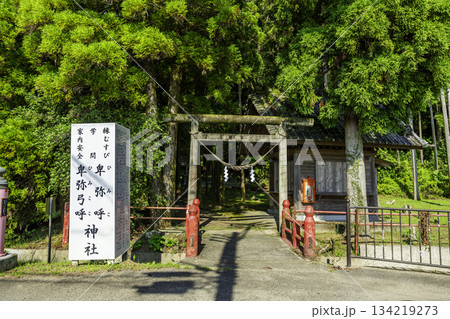 霧島 卑弥呼神社 鳥居 鹿児島県霧島市 霧島 卑弥呼神社 鳥居 鹿児島県霧島市 134219273