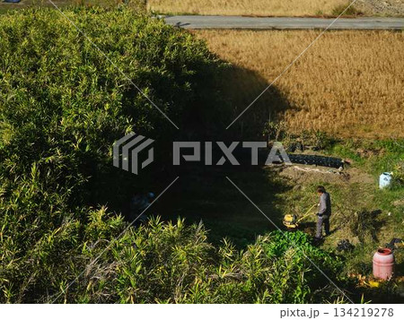 野菜の収穫 農作業 野菜の収穫 農作業 134219278