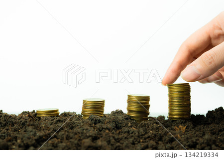 web banner business and finance investment and saving activity with small tree on gold coin arrange on soil and white isolated background 134219334