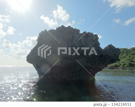 波に削られた沖縄の岩 134219551