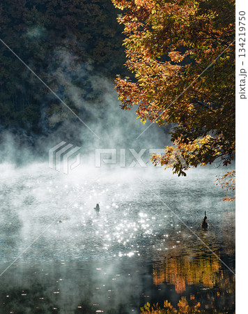 秋色の横顔ときらめく吐息 134219750