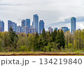 High rise cityscape with nature park reserve in front and overcasted sky background. 134219840