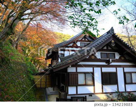 《奈良県》紅葉 134219883