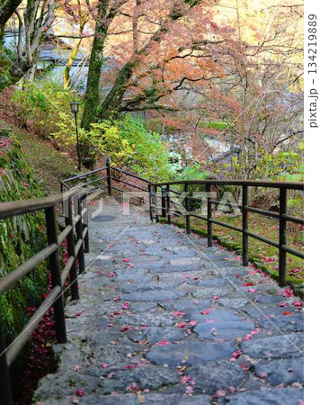 《奈良県》紅葉 《奈良県》紅葉 134219889