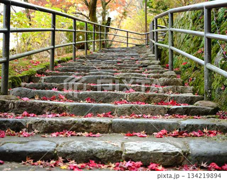 《奈良県》紅葉 《奈良県》紅葉 134219894