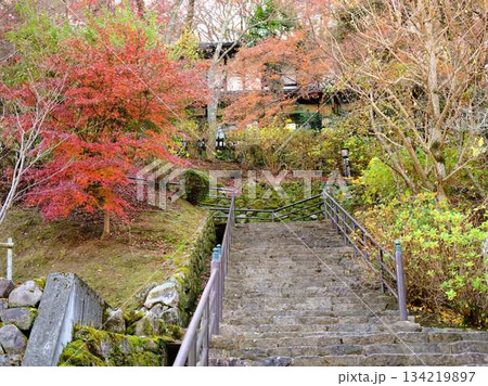 《奈良県》紅葉 《奈良県》紅葉 134219897