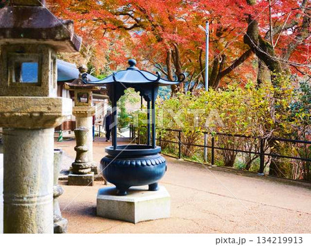 《奈良県》紅葉 《奈良県》紅葉 134219913