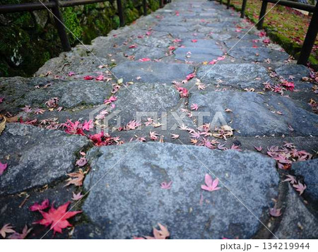 《奈良県》紅葉 《奈良県》紅葉 134219944