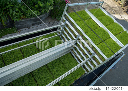 Agriculture Agriculture 134220014