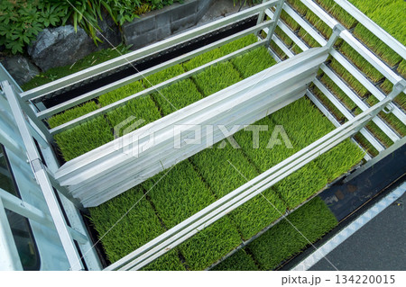 Agriculture Agriculture 134220015