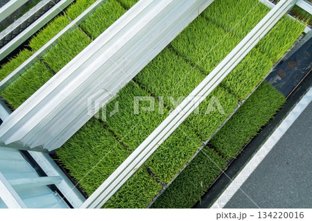 Agriculture Agriculture 134220016